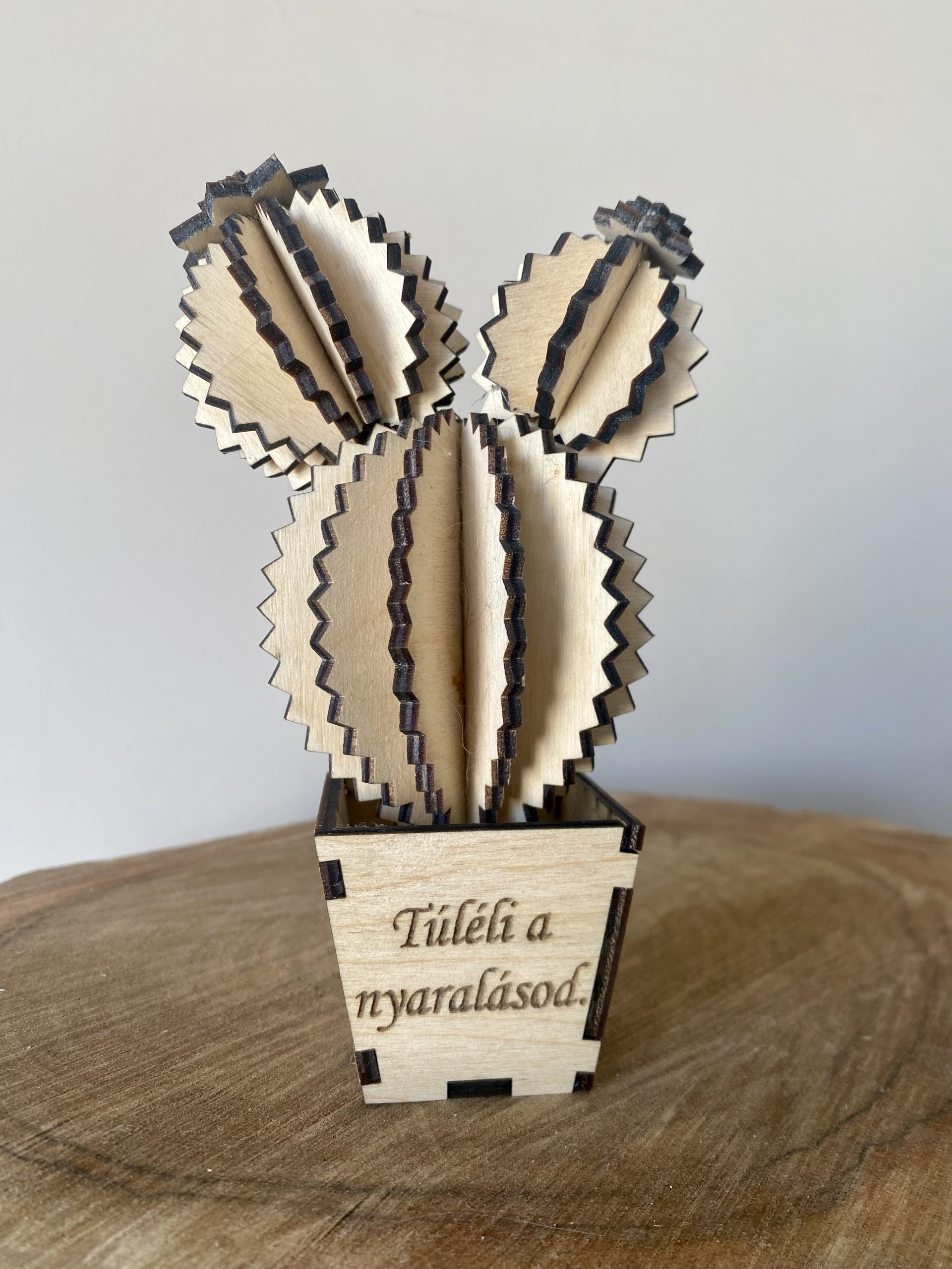 Fa kaktusz dekor kaspóban – Mini fügekaktusz | Vicces ajándék barátnak - Image 3